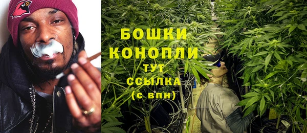 метадон Белокуриха