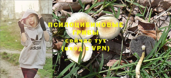 прущая мука Богородск