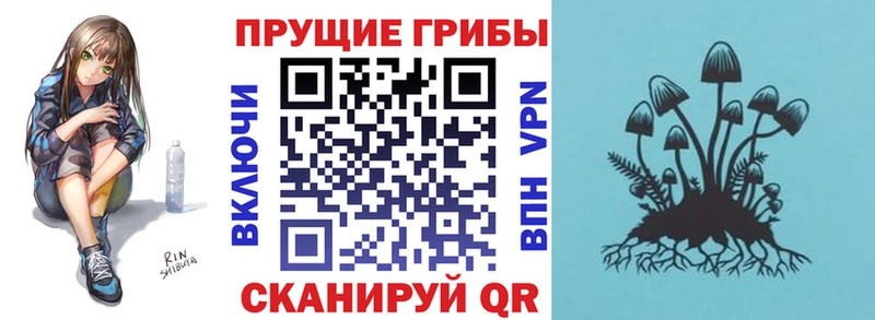 Купить где  Дагестанские Огни  Псилоцибиновые грибы Psilocybe 